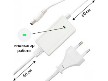 Моллюск