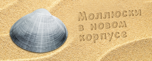 МОЛЛЮСКИ в металлическом корпусе!